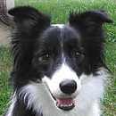 Faith was adopted in November, 2006